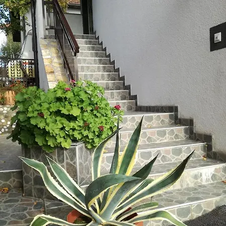 Guest house Dedic