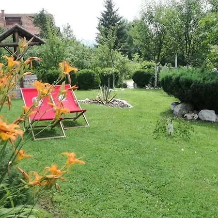 Dedic Guest house